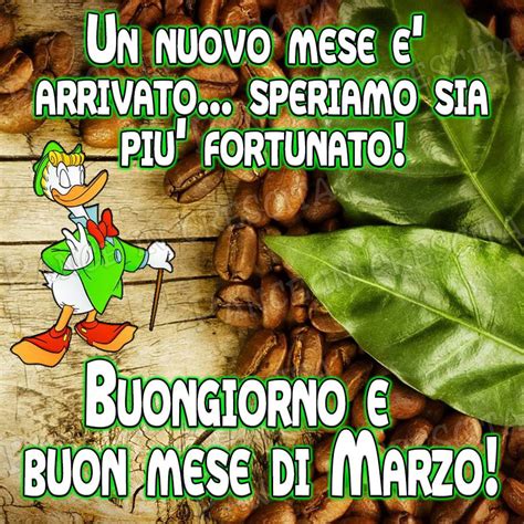 buongiorno 13 marzo 2024 immagini|buon giorno immagini 2023.